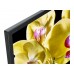 KD-65XG8096